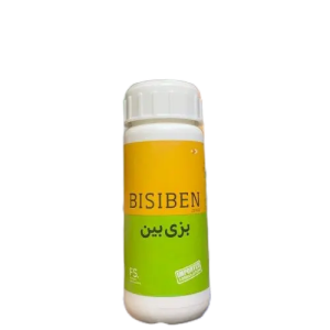 Bisiben 20SE