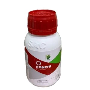 Kanpai 5SC