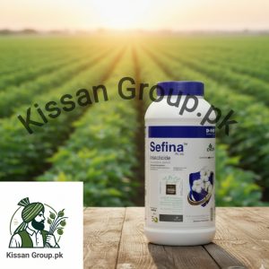 Sefina 400ML