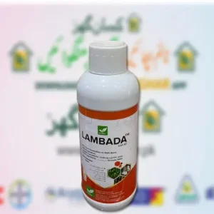 Lambada 2.5EC