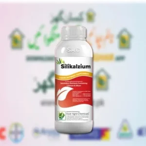 Silikalzium