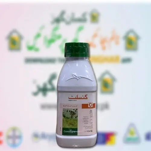 Consult 17SC