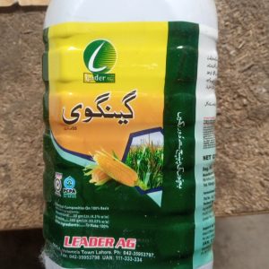 Gangvi  55%SC