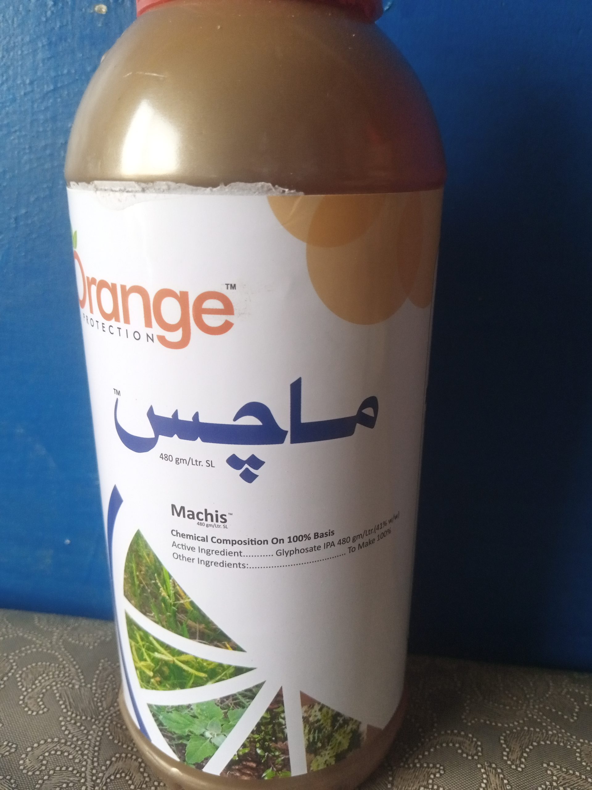 Machis (480gm /Ltr. SL)