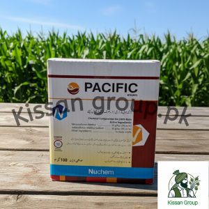 PACIFIC 6%WG